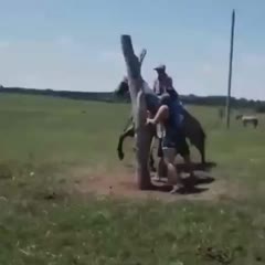 Out of control