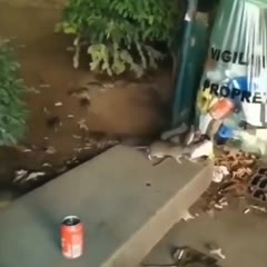 Poor countries problems