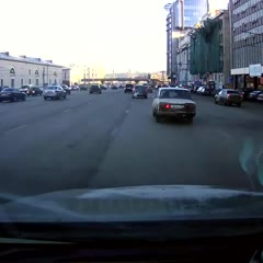 A Masterpiece of Car Parking Skills