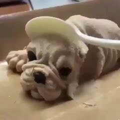 Horrific