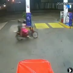 Holy Cow!