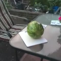 Ali cuts the watermelon