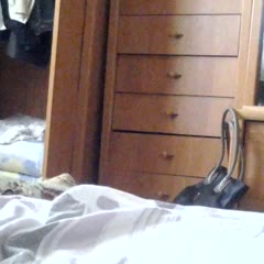 смешной котик.(funny cat)))))