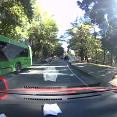 Zebra Crossing