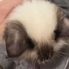 Someone's Jealous
