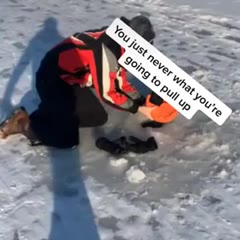 What kind of fish is that?