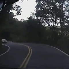 Scooter crashes into car