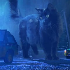Jurassic Park but with a Cat