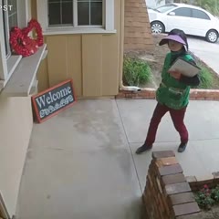 Dog Jumps Through Door at Solicitor