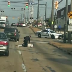 Ohio Man Steals Police Cruiser after Struggling with Cop