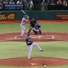 Cobb leaves on stretcher