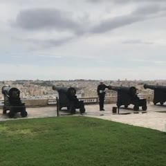 Pigeon vs. Canon