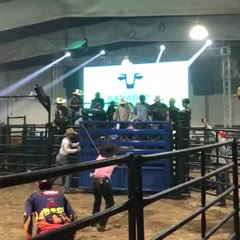 Mad Bulls give you wiiiiiiiings!!