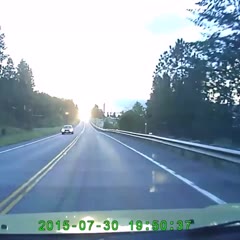 White tail deer does a flying act
