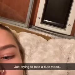 My kitty taking care of me by bringing me dinner! Enjoy 😊 #catsoftiktok