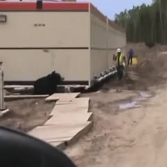 258566456346