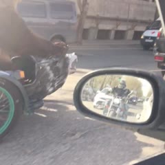 Bear On A Bike