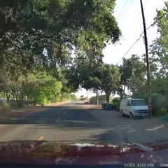 What did I just witness?