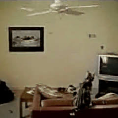 Nokia 3650 Commercial