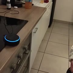 #alexa