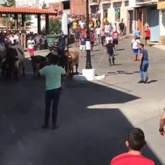 Tremendo susto en el encierro de Yeste