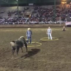 “Hold my beer, watch this”