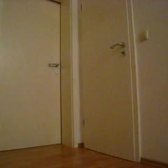 Julius Escaping