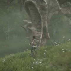 I COULDN'T MAKE THIS UP IF I TRIED 😂😂😂 #ShadowOfTheColossus