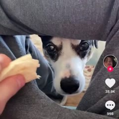 Grab!