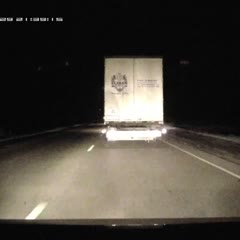 Медведь против Citroen Berlingo