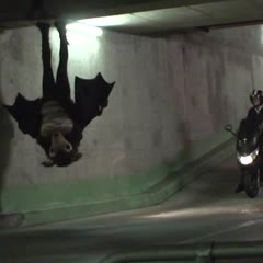 Chauve Souris (Rémi Gaillard)