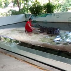 Crocodile Bites Back