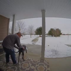 Get a Great Dane they said