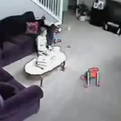 Cat defends baby from babysitter