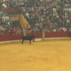 ZARAGOZA FORTUNA FERNANDO MACHANCOSES