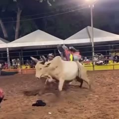 Guy gets Flipped and Lands on Top of a Bull