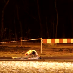 Zombie (SA Wardega)