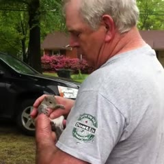 Releasing a Squirrel Goes Very Wrong