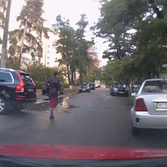 The driver frightened the woman
