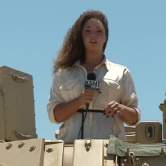 When cicadas attack KSNT reporter