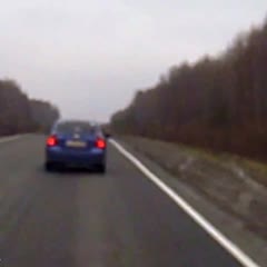 Мужик сбил медведя (man vs bear)
