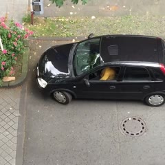 Frau am Steuer - Woman can't drive - Parking disaster in Dortmund