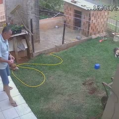 Man Turns Backyard Upside Down
