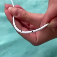 How to stop your bunny from chewing on your cables.