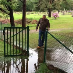 Gate crossing Fail