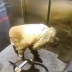 Trick