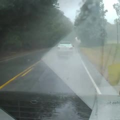 Tree Almost Lands On Car During Hurricane Irma