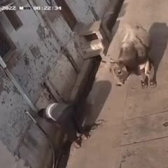 Why??
