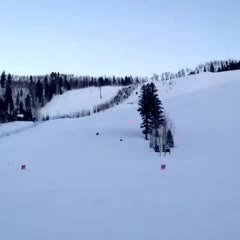 BAIL! BAIL! BAIL!