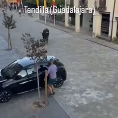 Bull wrecks car like it was nothing, refuses to explain